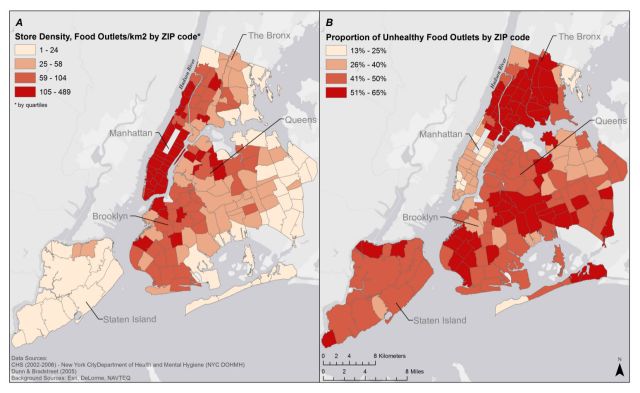 CHS_food_environment